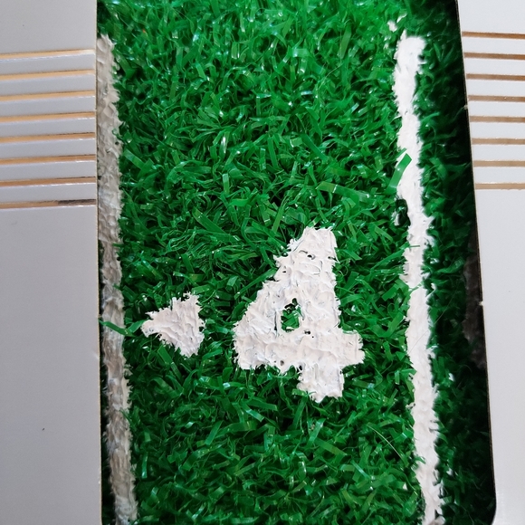 Dashing Astroturf Can Koozie Set of 2 Football Field With Yard Lines New in Box - Picture 4 of 5